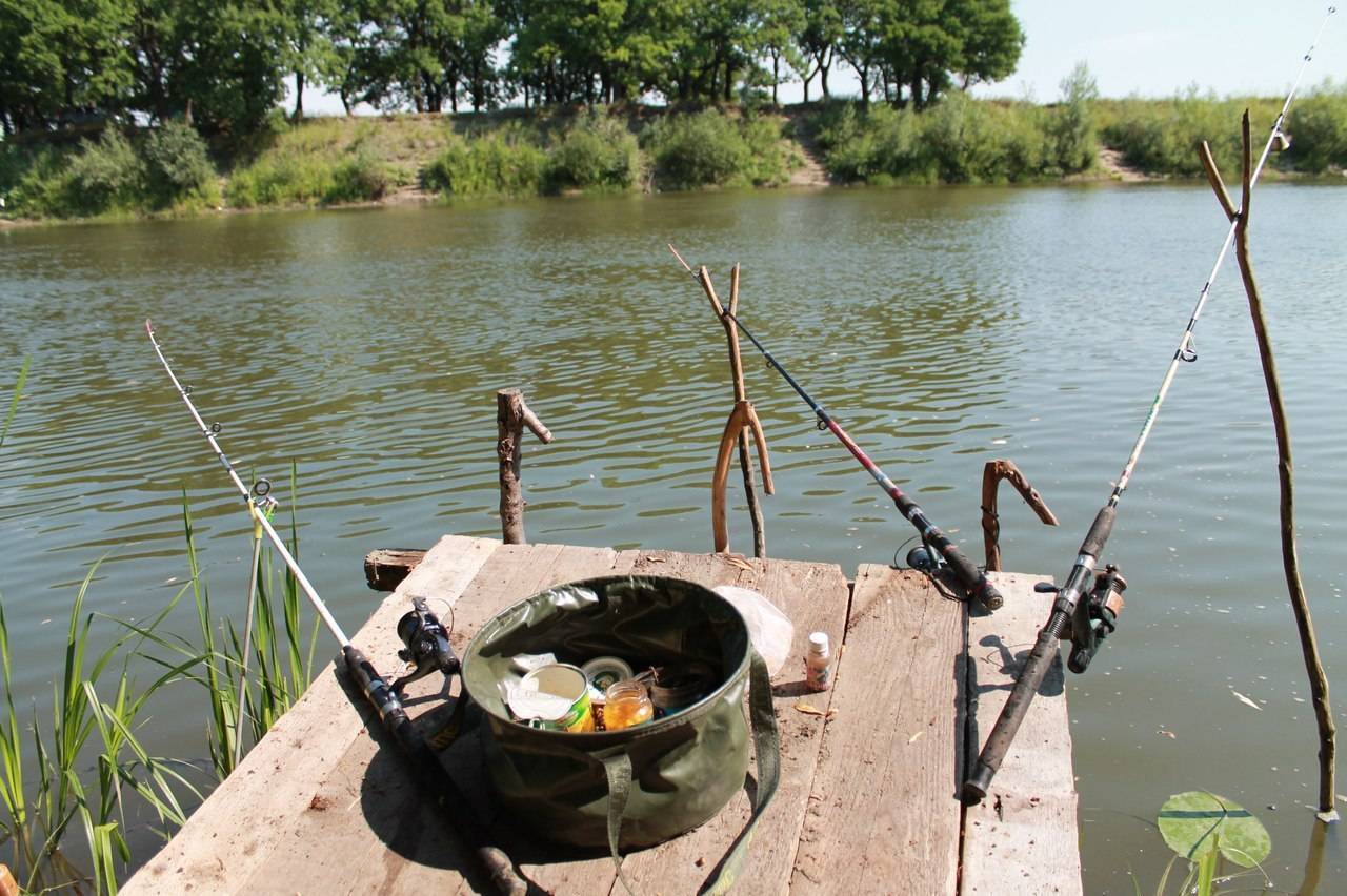 Лучшие места для рыбалки на водоёмах саратовской области